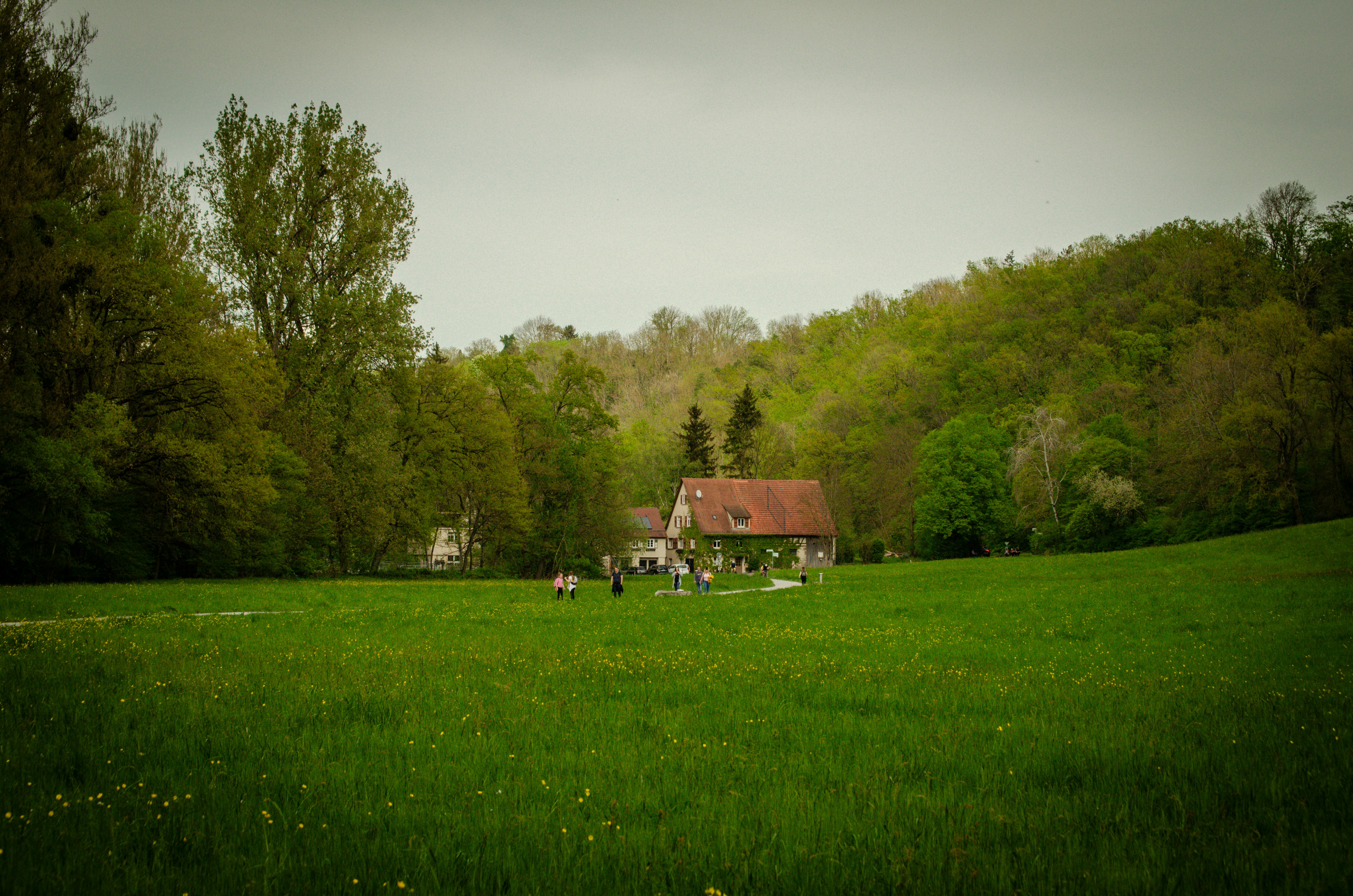 House in the forest